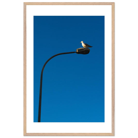 8f0c23c5-9d40-41a4-8aa0-a52ac74305d7