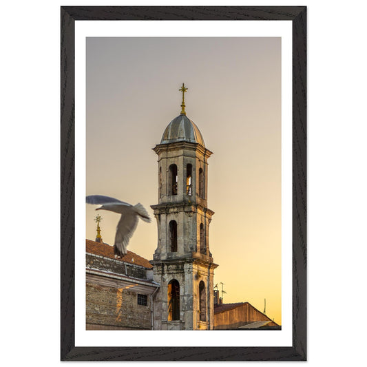 03aa9ab7-97dc-44e9-a6d6-16c400790825