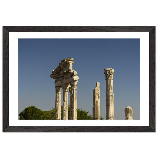 708ec190-95b1-4217-8743-956c54a6f059