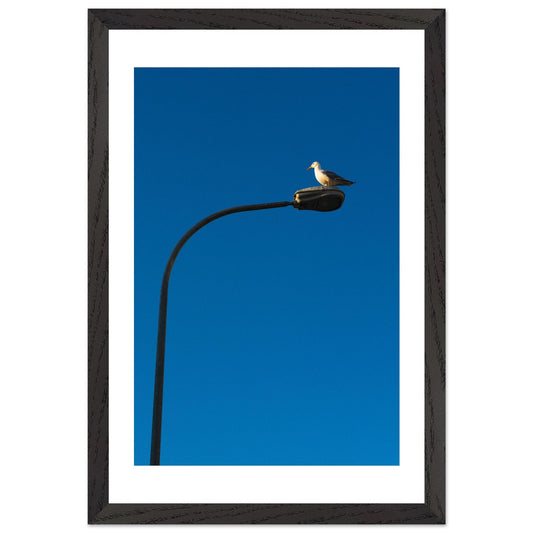 d9846a18-21e8-4c07-bf9c-6c93e3e54575